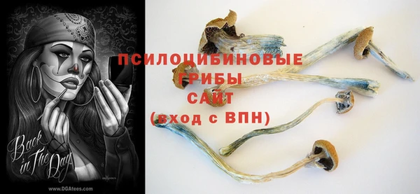 прущая мука Вязьма