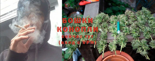 индика Бронницы
