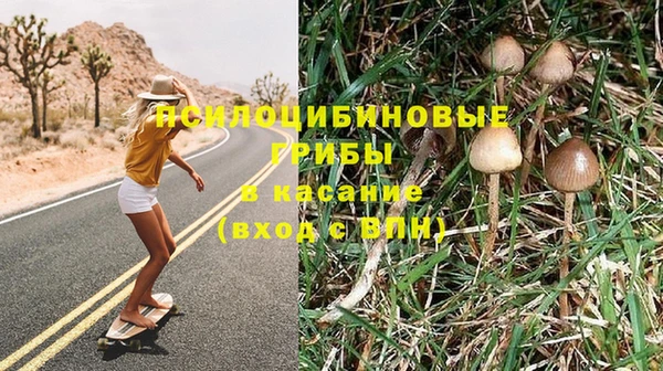 ПСИЛОЦИБИНОВЫЕ ГРИБЫ Бородино