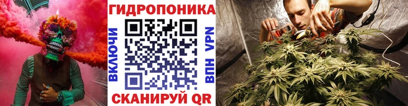 darknet как зайти  Заринск  МАРИХУАНА конопля 